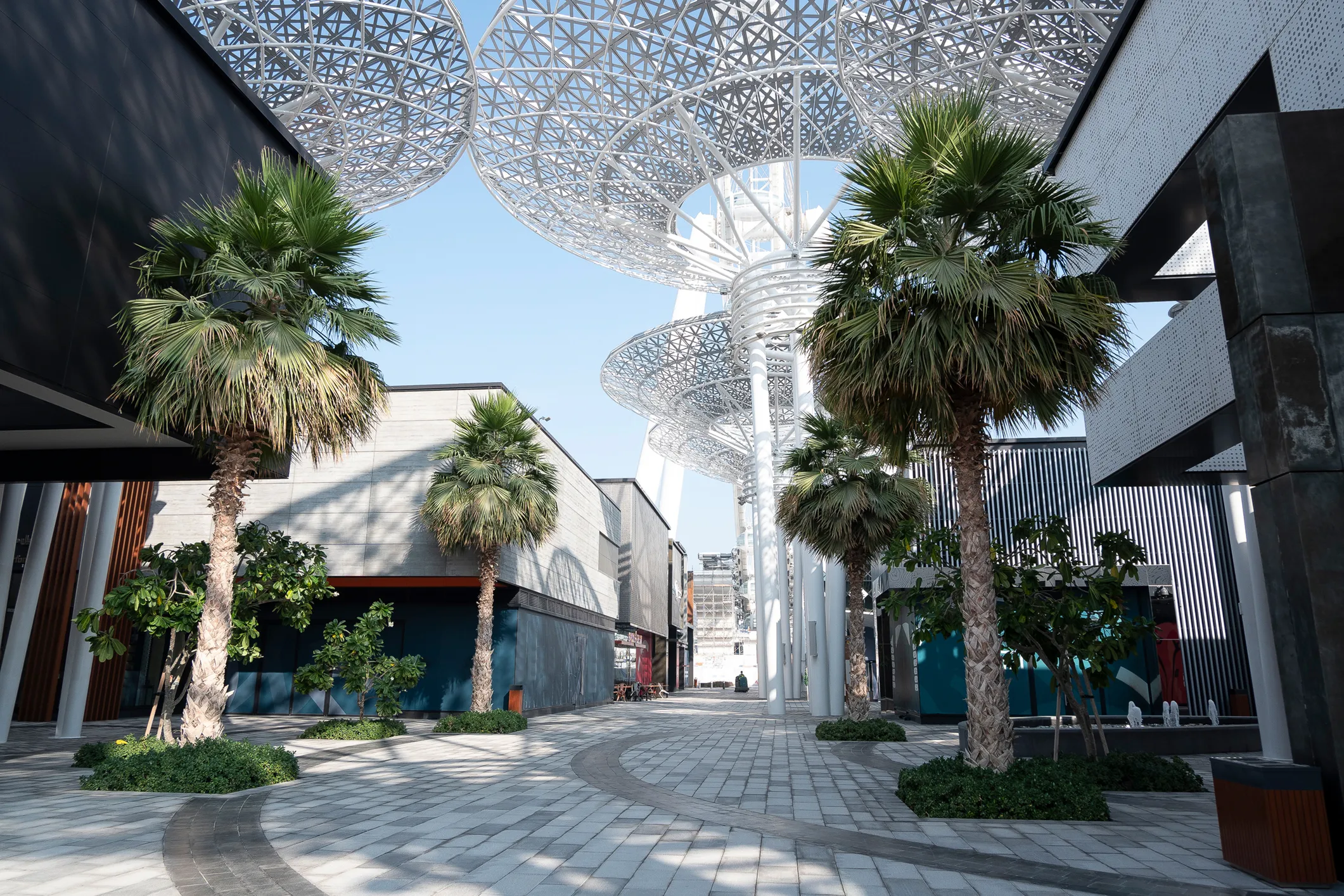 Modern architectural background with palm trees
